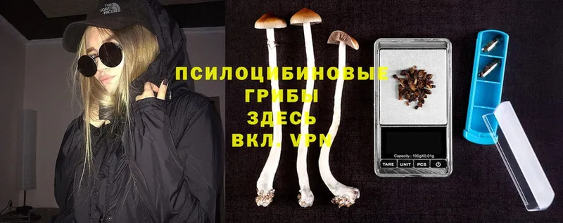 Псилоцибиновые грибы Magic Shrooms  где можно купить   Юрюзань 